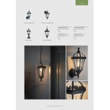 ENDON YG-3501 | Drayton Endon zidna svjetiljka 1x E27 IP44 antik crno, prozirno