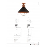NOWODVORSKI 9247 | Garret Nowodvorski stropne svjetiljke svjetiljka 1x E27 crno, crveni bakar
