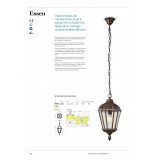 REDO 9659 | Essen Redo visilice svjetiljka 1x E27 IP44 braon antik, prozirno