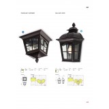 REDO 9650 | York-RD Redo stropne svjetiljke svjetiljka 2x E14 IP44 antik crno, prozirno