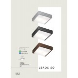 VIOKEF 4049300 | Leros Viokef stropne svjetiljke svjetiljka 2x E27 IP44 sivo, opal