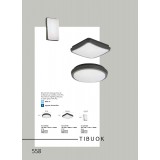 VIOKEF 4197700 | Tibuok Viokef stropne svjetiljke svjetiljka 1x LED 688lm 3000K IP54 crno, bijelo