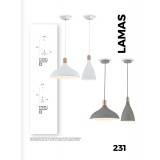 VIOKEF 4197301 | Lamas Viokef visilice svjetiljka 1x E27 sivo